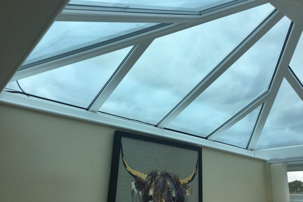 IMG_7354